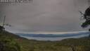 ./images/calvert/fitz-hugh-hecate/20250808/fitz-hugh-hecate20250808_090010M.jpg