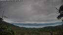 ./images/calvert/fitz-hugh-hecate/20250808/fitz-hugh-hecate20250808_094510M.jpg