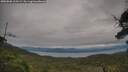 ./images/calvert/fitz-hugh-hecate/20250808/fitz-hugh-hecate20250808_100509M.jpg