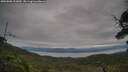 ./images/calvert/fitz-hugh-hecate/20250808/fitz-hugh-hecate20250808_101010M.jpg