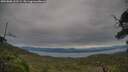 ./images/calvert/fitz-hugh-hecate/20250808/fitz-hugh-hecate20250808_102508M.jpg