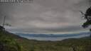 ./images/calvert/fitz-hugh-hecate/20250808/fitz-hugh-hecate20250808_103009M.jpg