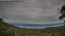 ./images/calvert/fitz-hugh-hecate/20250808/fitz-hugh-hecate20250808_105010M.jpg