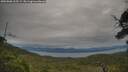 ./images/calvert/fitz-hugh-hecate/20250808/fitz-hugh-hecate20250808_105509M.jpg