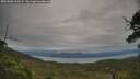 ./images/calvert/fitz-hugh-hecate/20250808/fitz-hugh-hecate20250808_110508M.jpg
