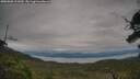 ./images/calvert/fitz-hugh-hecate/20250808/fitz-hugh-hecate20250808_111010M.jpg