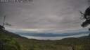 ./images/calvert/fitz-hugh-hecate/20250808/fitz-hugh-hecate20250808_111509M.jpg