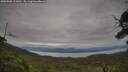 ./images/calvert/fitz-hugh-hecate/20250808/fitz-hugh-hecate20250808_112010M.jpg