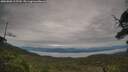 ./images/calvert/fitz-hugh-hecate/20250808/fitz-hugh-hecate20250808_112510M.jpg