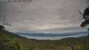 ./images/calvert/fitz-hugh-hecate/20250808/fitz-hugh-hecate20250808_113011M.jpg