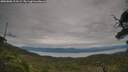 ./images/calvert/fitz-hugh-hecate/20250808/fitz-hugh-hecate20250808_113509M.jpg