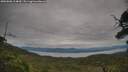 ./images/calvert/fitz-hugh-hecate/20250808/fitz-hugh-hecate20250808_114010M.jpg