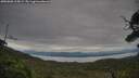 ./images/calvert/fitz-hugh-hecate/20250808/fitz-hugh-hecate20250808_115009M.jpg