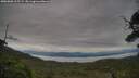 ./images/calvert/fitz-hugh-hecate/20250808/fitz-hugh-hecate20250808_115509M.jpg