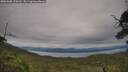 ./images/calvert/fitz-hugh-hecate/20250808/fitz-hugh-hecate20250808_120009M.jpg
