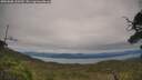 ./images/calvert/fitz-hugh-hecate/20250808/fitz-hugh-hecate20250808_120509M.jpg