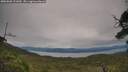 ./images/calvert/fitz-hugh-hecate/20250808/fitz-hugh-hecate20250808_121010M.jpg