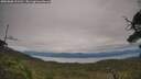 ./images/calvert/fitz-hugh-hecate/20250808/fitz-hugh-hecate20250808_121510M.jpg