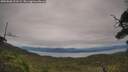 ./images/calvert/fitz-hugh-hecate/20250808/fitz-hugh-hecate20250808_122509M.jpg
