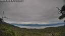 ./images/calvert/fitz-hugh-hecate/20250808/fitz-hugh-hecate20250808_123510M.jpg