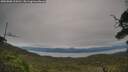 ./images/calvert/fitz-hugh-hecate/20250808/fitz-hugh-hecate20250808_124511M.jpg