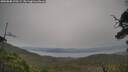 ./images/calvert/fitz-hugh-hecate/20250808/fitz-hugh-hecate20250808_125509M.jpg