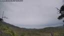 ./images/calvert/fitz-hugh-hecate/20250808/fitz-hugh-hecate20250808_131510M.jpg