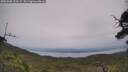 ./images/calvert/fitz-hugh-hecate/20250808/fitz-hugh-hecate20250808_132506M.jpg