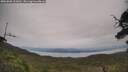 ./images/calvert/fitz-hugh-hecate/20250808/fitz-hugh-hecate20250808_133011M.jpg