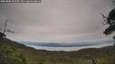 ./images/calvert/fitz-hugh-hecate/20250808/fitz-hugh-hecate20250808_133510M.jpg