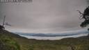 ./images/calvert/fitz-hugh-hecate/20250808/fitz-hugh-hecate20250808_134009M.jpg
