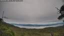 ./images/calvert/fitz-hugh-hecate/20250808/fitz-hugh-hecate20250808_135009M.jpg