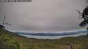./images/calvert/fitz-hugh-hecate/20250808/fitz-hugh-hecate20250808_140012M.jpg