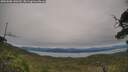 ./images/calvert/fitz-hugh-hecate/20250808/fitz-hugh-hecate20250808_140509M.jpg