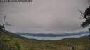 ./images/calvert/fitz-hugh-hecate/20250808/fitz-hugh-hecate20250808_141511M.jpg