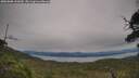 ./images/calvert/fitz-hugh-hecate/20250808/fitz-hugh-hecate20250808_142010M.jpg