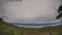 ./images/calvert/fitz-hugh-hecate/20250808/fitz-hugh-hecate20250808_142510M.jpg