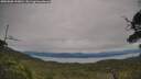 ./images/calvert/fitz-hugh-hecate/20250808/fitz-hugh-hecate20250808_143010M.jpg
