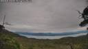 ./images/calvert/fitz-hugh-hecate/20250808/fitz-hugh-hecate20250808_143509M.jpg