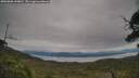 ./images/calvert/fitz-hugh-hecate/20250808/fitz-hugh-hecate20250808_144010M.jpg