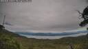 ./images/calvert/fitz-hugh-hecate/20250808/fitz-hugh-hecate20250808_144511M.jpg