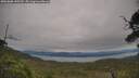 ./images/calvert/fitz-hugh-hecate/20250808/fitz-hugh-hecate20250808_145510M.jpg