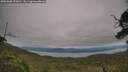 ./images/calvert/fitz-hugh-hecate/20250808/fitz-hugh-hecate20250808_150011M.jpg