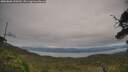 ./images/calvert/fitz-hugh-hecate/20250808/fitz-hugh-hecate20250808_150510M.jpg