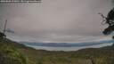 ./images/calvert/fitz-hugh-hecate/20250808/fitz-hugh-hecate20250808_151010M.jpg