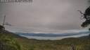 ./images/calvert/fitz-hugh-hecate/20250808/fitz-hugh-hecate20250808_151510M.jpg