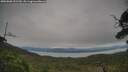 ./images/calvert/fitz-hugh-hecate/20250808/fitz-hugh-hecate20250808_152510M.jpg