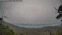 ./images/calvert/fitz-hugh-hecate/20250808/fitz-hugh-hecate20250808_153509M.jpg