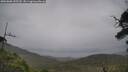 ./images/calvert/fitz-hugh-hecate/20250808/fitz-hugh-hecate20250808_155510M.jpg
