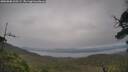 ./images/calvert/fitz-hugh-hecate/20250808/fitz-hugh-hecate20250808_160509M.jpg